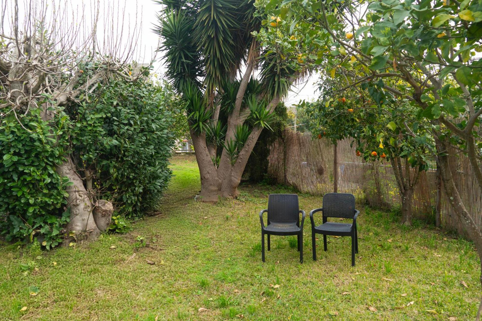 La Terrazza Sul Giardino Apartment Procida