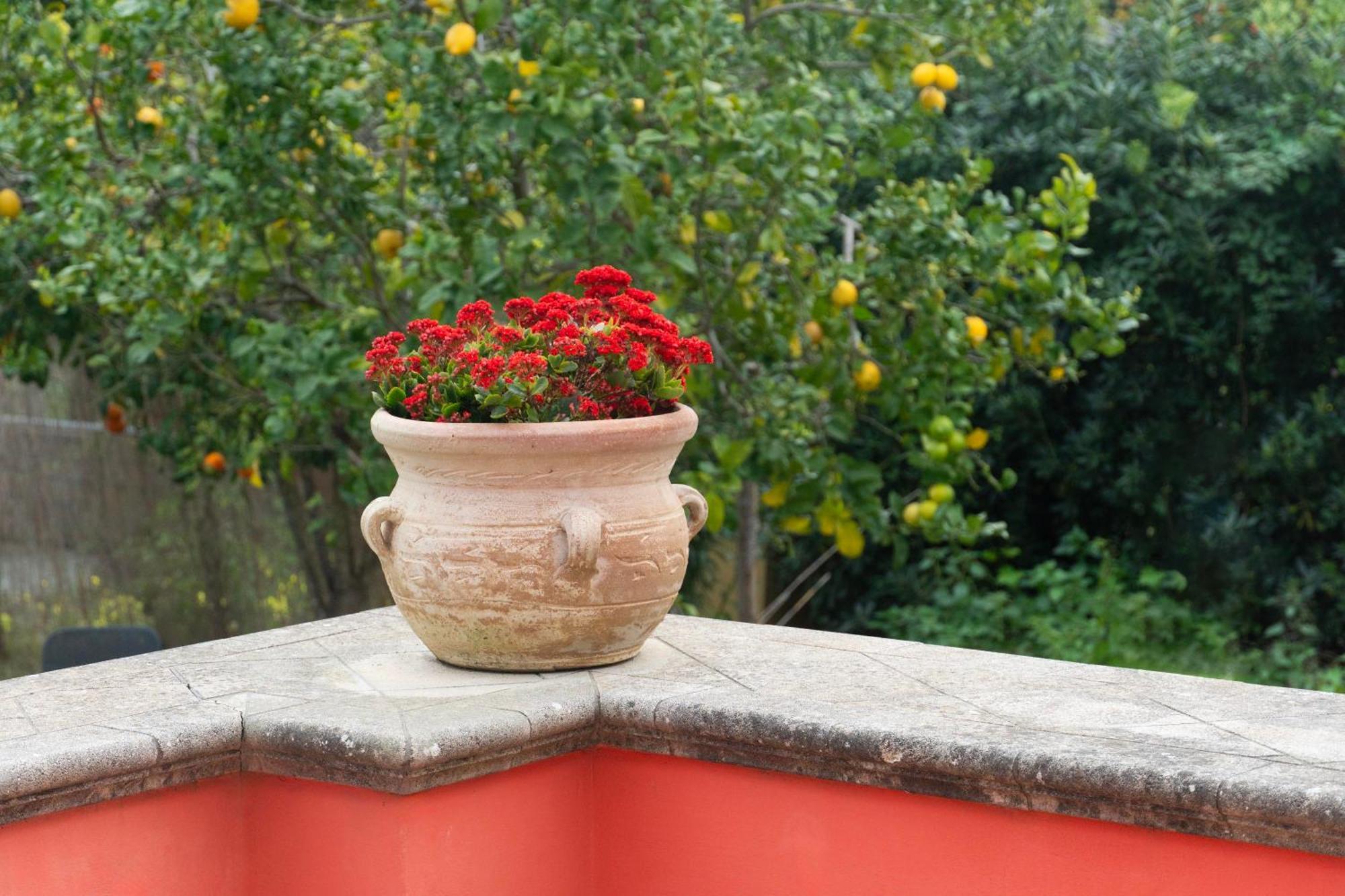 La Terrazza Sul Giardino Procida